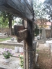 Friedhof, Bibinje, Kroatien