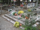 Friedhof, Bibinje, Kroatien