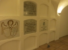 Dom St.Jakob, Innsbruck, Krypta - Alois SCHÖNEGGER, Michael WEISKOPF (09.01.2014)