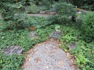 WIEDEMEIER-ERNST Emma  1908-1996 - WIEDEMEIER Edgar 1937-2002, Urnenhain, Friedhof Gebenstorf, Aargau 