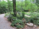 Urnenhain, Friedhof an der Reuss (Friedhofweg), Gebenstorf, Aargau