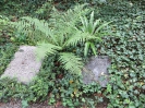 Friedhof an der Reuss (Friedhofweg), Gebenstorf, Aargau