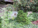 MEIER-HORLACHER Olga 18.6-1962, MEIER-HORLACHER Jakob, Friedhof, Gebenstorf, Aargau