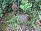 KÜNG-DIENER Ruth, 1911-2005, Friedhof, Gebenstorf, Aargau