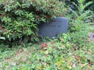 LEHNER-HARTMANN Bertha 1962, Friedhof, Gebenstorf, Aargau