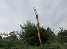 Holzfigur von Thomas Hochstrasser, Reussufer, Gebenstorf, Aargau