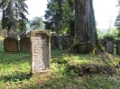 Jüdischer Friedhof in Lengnau-Endingen, Aargau, Schweiz