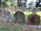 Jüdischer Friedhof in Lengnau-Endingen, Aargau, Schweiz