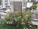 Radovljica, Gemeindefriedhof