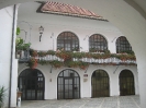 Radovljica-Historische Bilder und Impressionen
