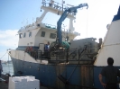 Fischauktion am Hafen von Isla Cristina, 2008