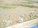 Entlang der Promenade der Marismas de Isla Cristina, Naturschutzgebiet in der Huelva, 2008