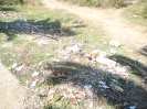 Les marais de l'île Cristina, parc naturel et zone de protection spéciale pour les oiseaux, 2008