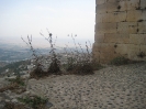 Crac des Chevaliers-2007 _35