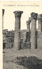 Palmyre, 6 colonnes de 10 mètres chaque, carte postale historique
