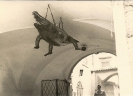 Drachen von Brno im ehemaligen Rathaus