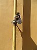 Hradebni-Straße, Krumau - Street Art (Straßenkunst)