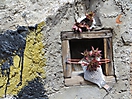 Hradebni-Straße, Krumau - Street Art (Straßenkunst)