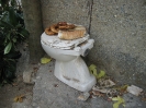 Stilleben mit alte Toilettenschüssel und Weissbrot in Alanya, 23.06.2010