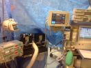 Bilder aus dem Operationssaal - Pictures from the Operating Theater