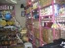Syrien - Syria