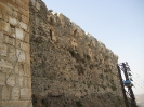 Syrien - Syria
