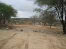 Tarangire Nationalpark 
