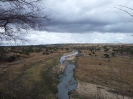Tarangire Nationalpark 