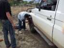 Tarangire Nationalpark 