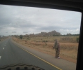 Tarangire Nationalpark 