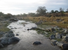 Tarangire Nationalpark 